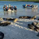 Galápagos