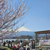 JAPÃO